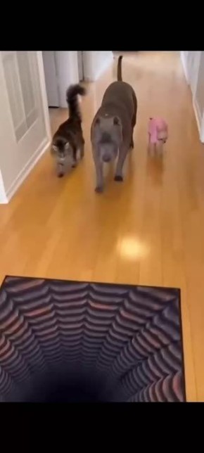 А вот и новая рабочая неделя