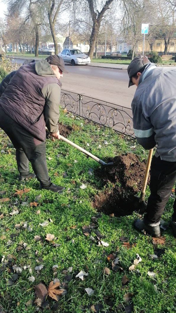 Юные спортсмены Михайловского округа Запорожской области высадили деревья от дагестанских друзей