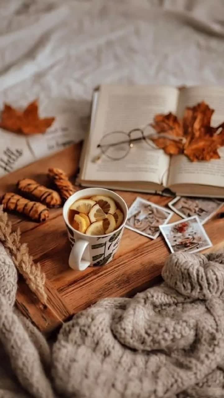 25 ноября 2025 года. Сегодня, 25 ноября 2025 года в Васильевке ясно, без осадков