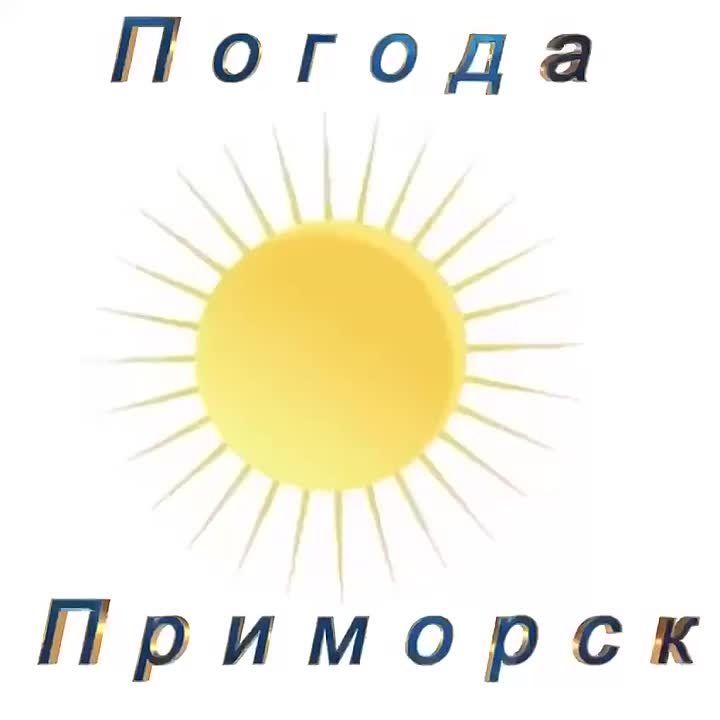 Погода Приморск (Приморский район), 25.11.2025