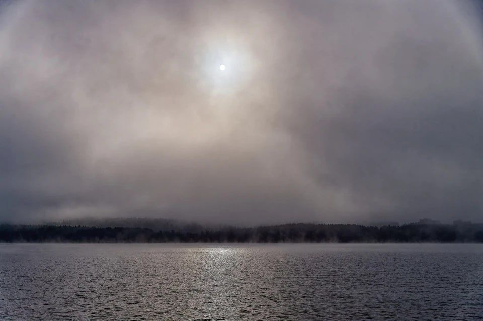 Туман и гололед будут с утра 25 ноября в Запорожской области