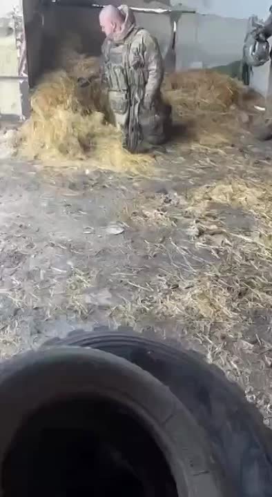 Хохлы после неудачного штурма