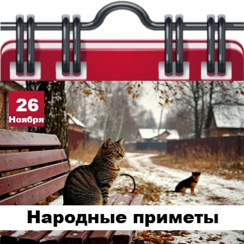 Доброе утро, Днепрорудное. Пусть день наполнится яркими красками, получайте отовсюду позитив и наслаждайтесь жизнью Доброе утро, Днепрорудное. Пусть день наполнится яркими красками, получайте отовсюду позитив и наслаждайтесь жизнью