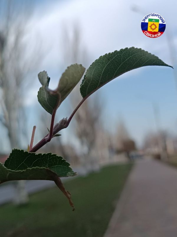 Пусть утро среды будет славным, добрым, бодрым и воодушевляющим, ведь это — серединка рабочих напряжённых будней