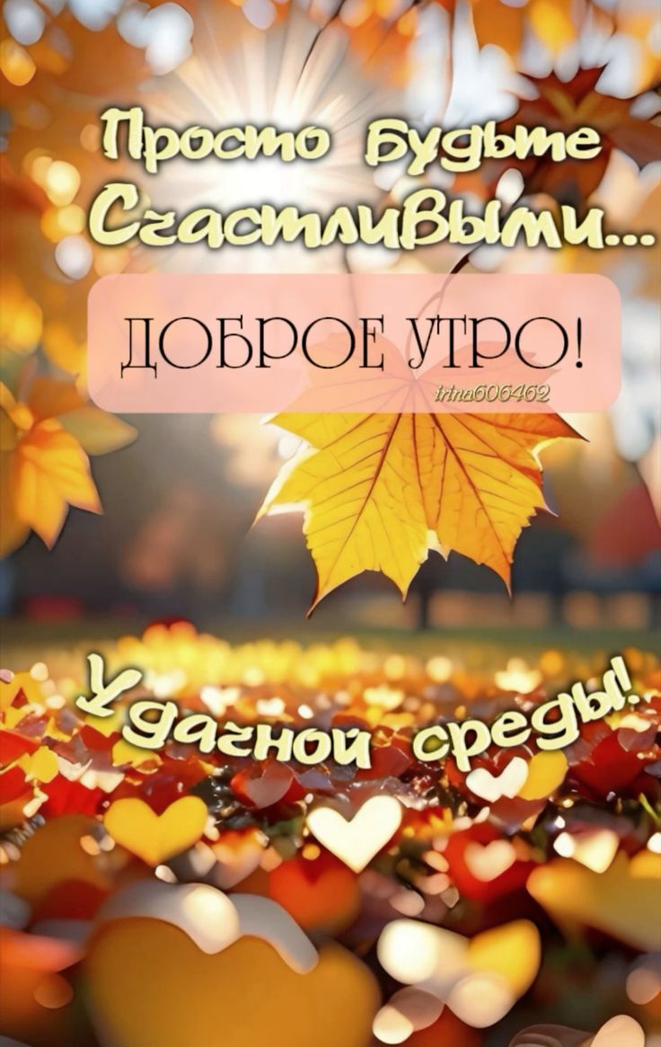 Доброе утро, Днепрорудное. Пусть день наполнится яркими красками, получайте отовсюду позитив и наслаждайтесь жизнью