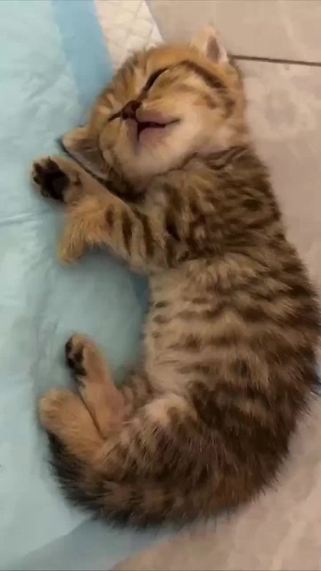 Еще один день позади. А середина рабочей недели закончилась