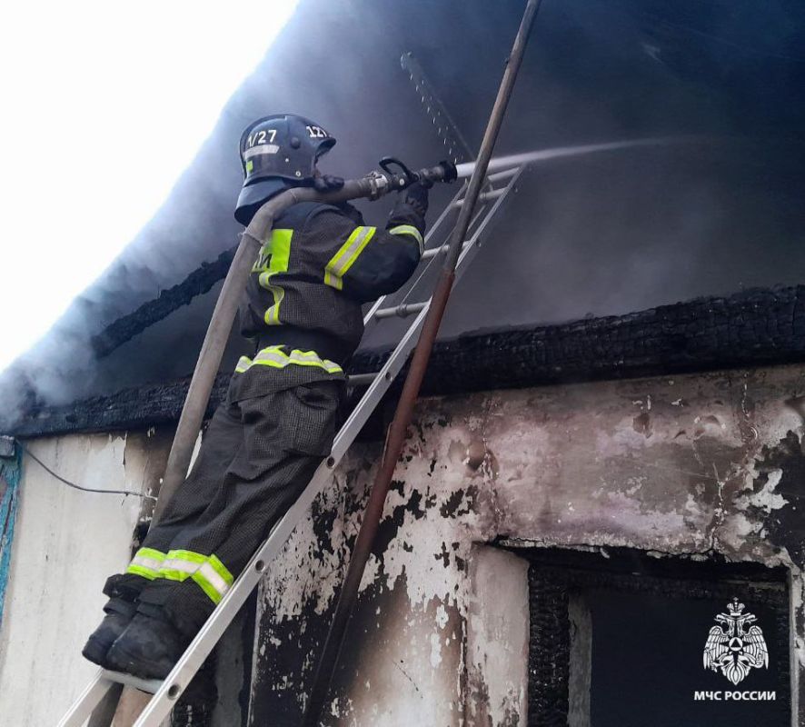 Оперативная информация за сутки