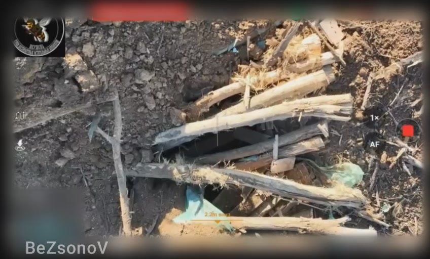 ������ ��������: ����������� �������. ���������� �����������