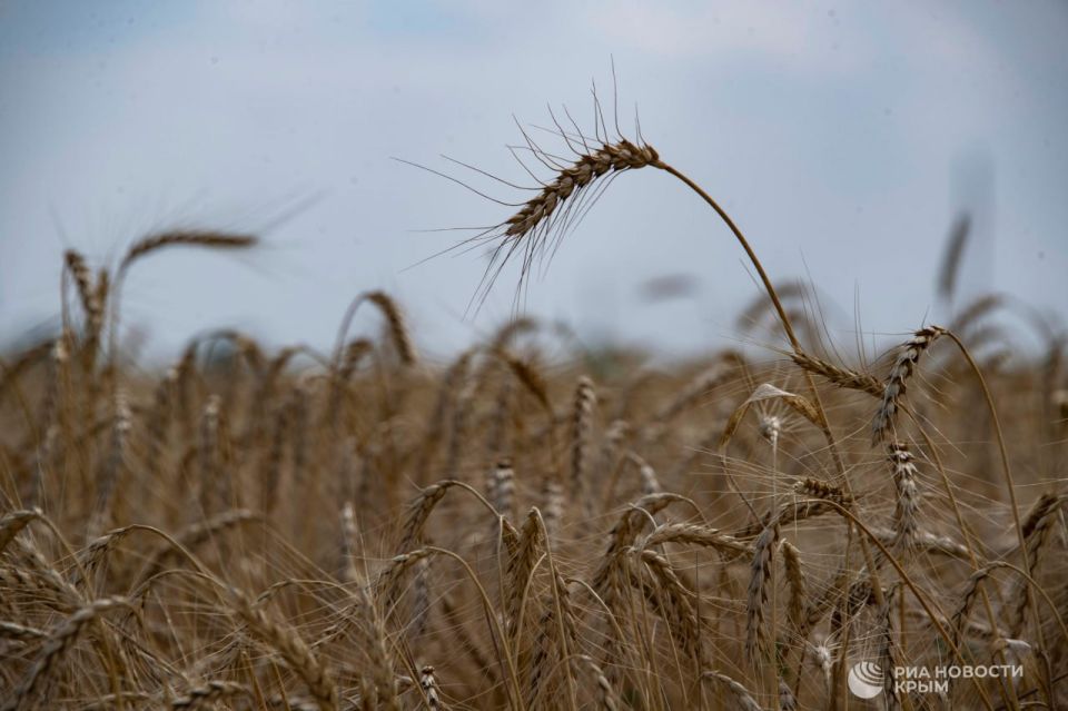 Погода на новых территориях России