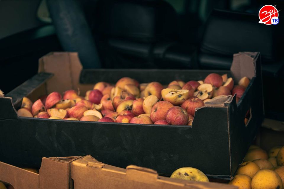 Воспитанники Мелитопольского центра социально-психологической реабилитации посетили конноспортивный клуб «Аллюр» Воспитанники Мелитопольского центра социально-психологической реабилитации посетили конноспортивный клуб «Аллюр»