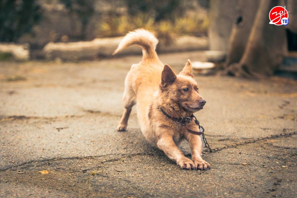 Воспитанники Мелитопольского центра социально-психологической реабилитации посетили конноспортивный клуб «Аллюр» Воспитанники Мелитопольского центра социально-психологической реабилитации посетили конноспортивный клуб «Аллюр»