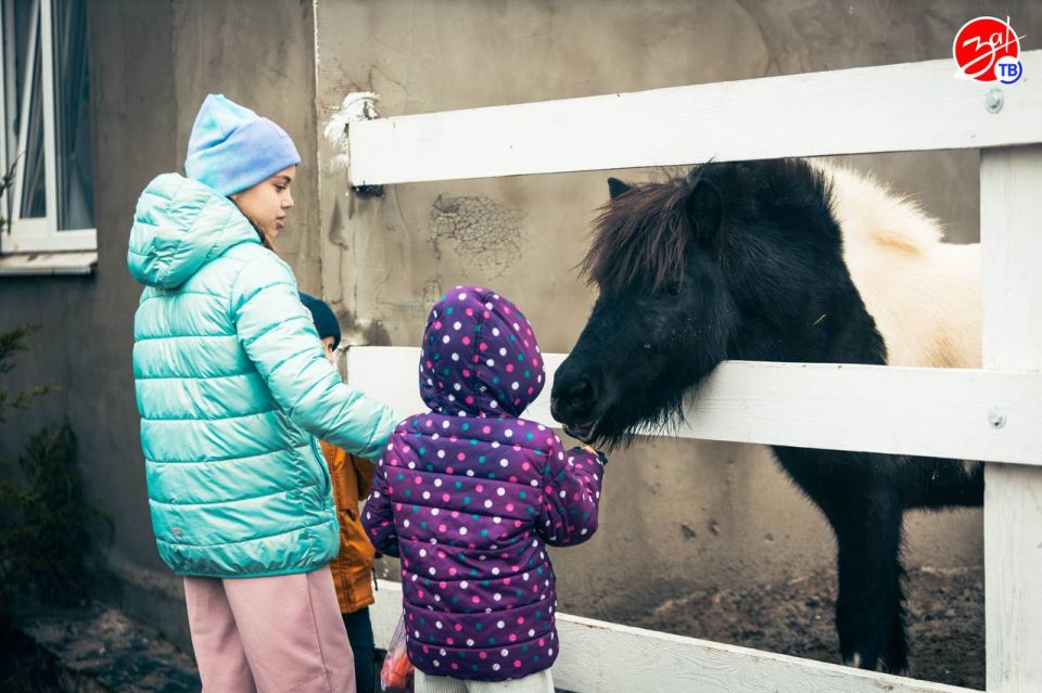 Воспитанники Мелитопольского центра социально-психологической реабилитации посетили конноспортивный клуб «Аллюр» Воспитанники Мелитопольского центра социально-психологической реабилитации посетили конноспортивный клуб «Аллюр»