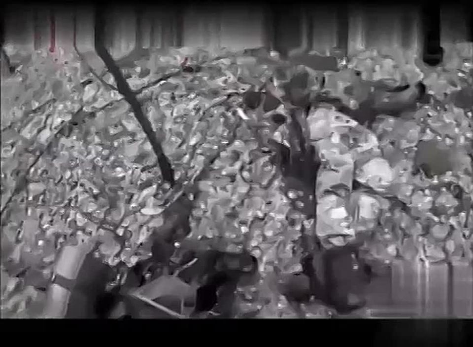 Подборка работы и ликвидации всушников от наших ССО ВС РФ в глубоком тылу противника