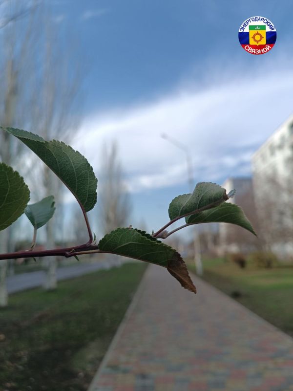 Неважно, солнечное утро или нет, главное — оно наступило