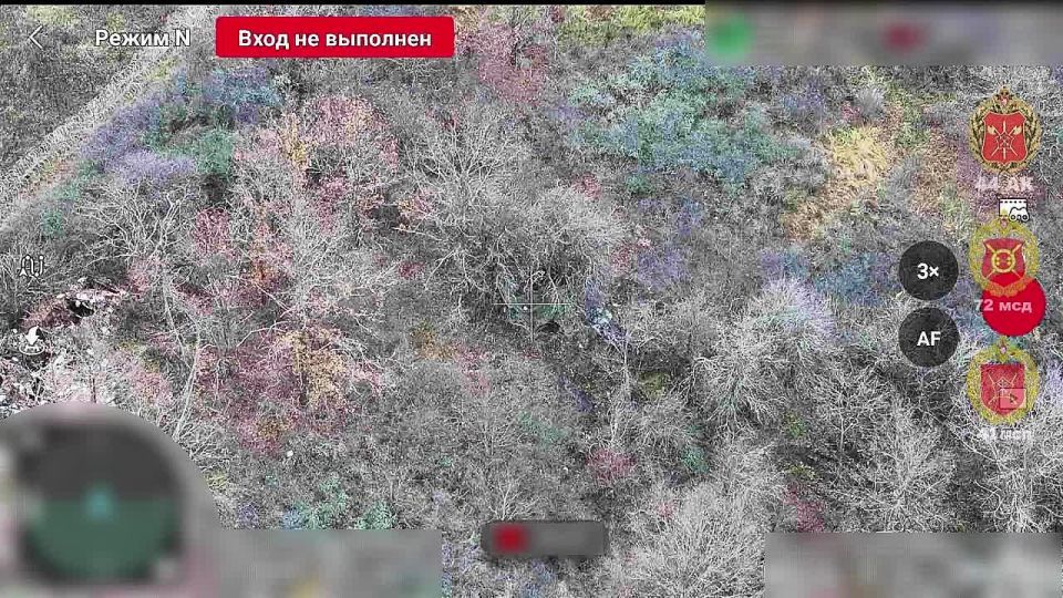 ������ ���� 41 ��� 44 ���������� ������� ��������� ������� ���������� ��������