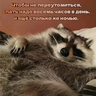 Доброй ночи, дорогие подписчики! Доброй ночи, Запорожье!