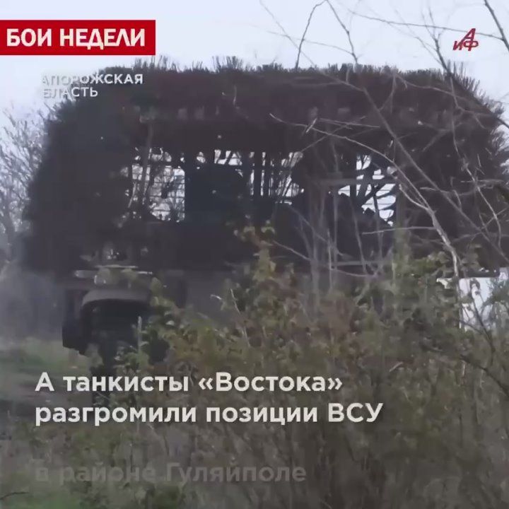 Кровавое побоище в Запорожье: штурмовики ВС РФ освобождают сёла от боевиков