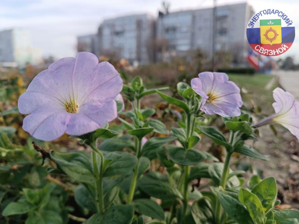 Воскресенье – это маленький праздник души