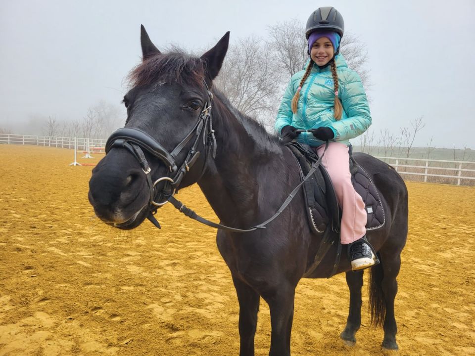 ���� �� ���������� ������ ���������-��������������� ������������ �������� � ��������������� ����� ������