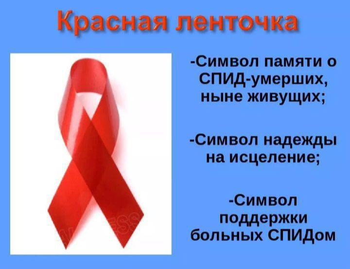 1 ������� - ��������� ���� ������ �� ������