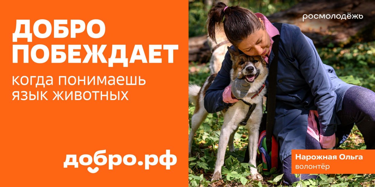 Добро побеждает: Международный форум гражданского участия #МЫВМЕСТЕ стартует 2 декабря Добро побеждает: Международный форум гражданского участия #МЫВМЕСТЕ стартует 2 декабря