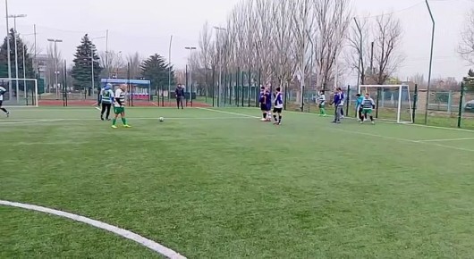 29 ,     ,         ()   66,    