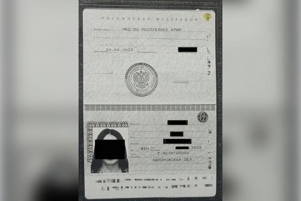 Жительницу Мелитополя оштрафовали за публичные оскорбления русской нации