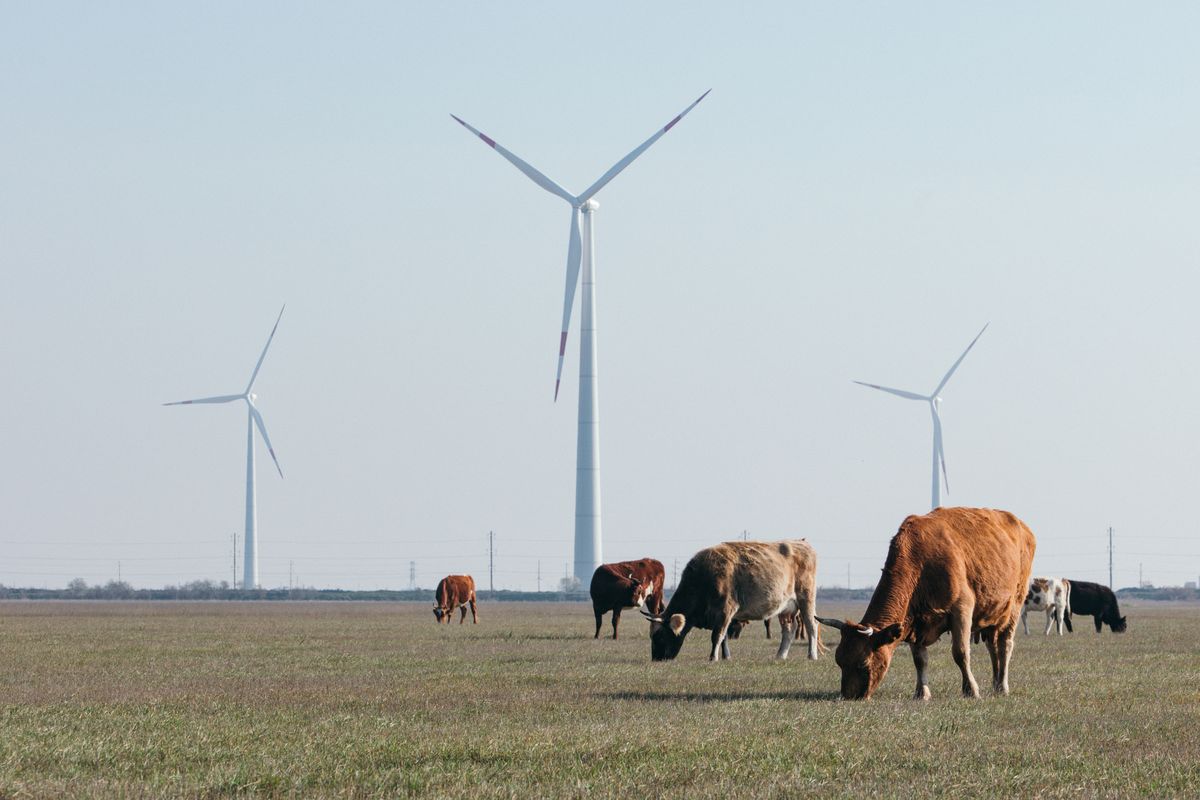 Первая очередь из 61 установки Новолакской ветроэлектростанции дала первые киловатты в единую сеть страны Первая очередь из 61 установки Новолакской ветроэлектростанции дала первые киловатты в единую сеть страны