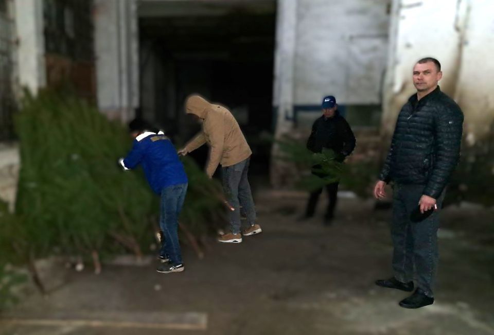 В Токмак из города-побратима в Пензенской области отправили партию елей В Токмак из города-побратима в Пензенской области отправили партию елей