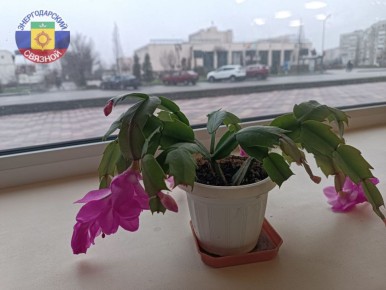 Доброе утро, друзья! Вторник — не просто второй день недели, а возможность продолжить то, что начал в понедельник, но уже с новыми силами