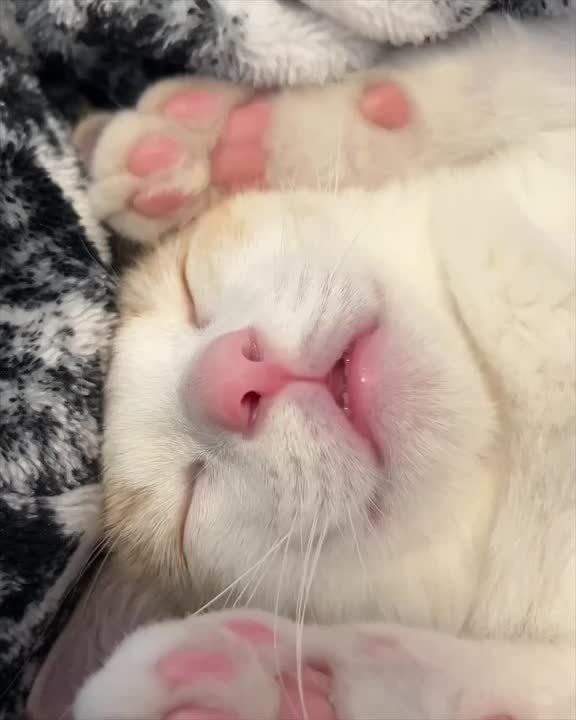 ��� ���� ���� ������. ���������� ������������, � ��������