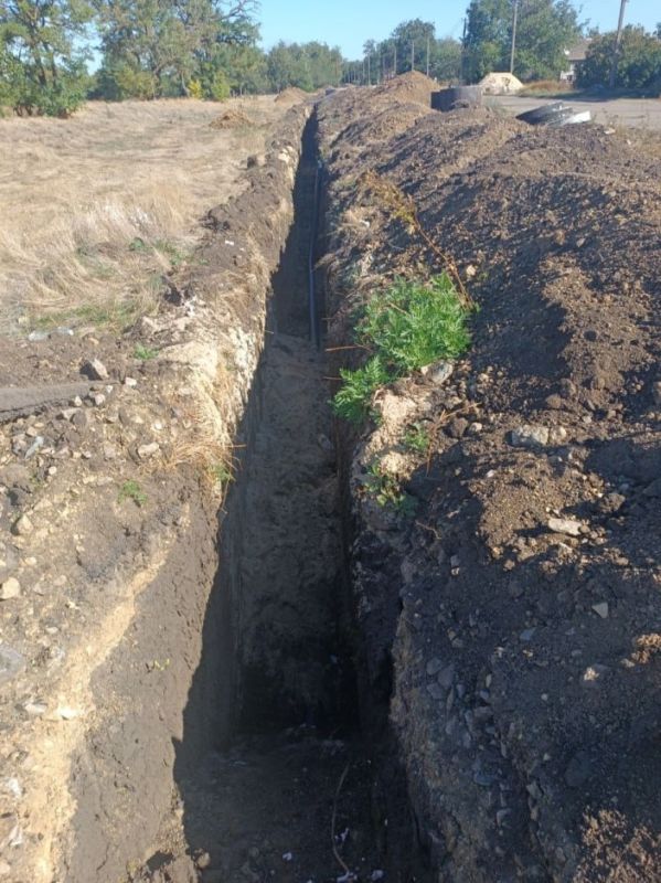 ��� ��������� ������������ ����������� � ���� ���������