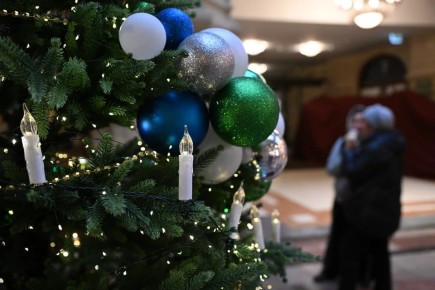 В Токмак доставили ели от пензенского города-побратима