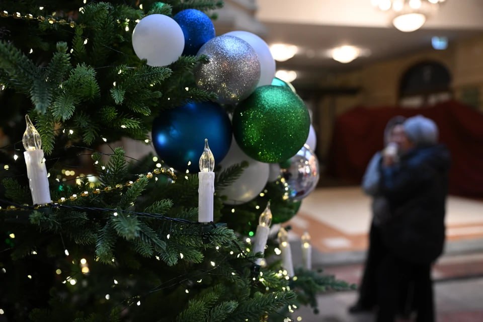 В Токмак доставили ели от пензенского города-побратима