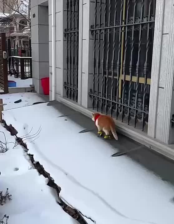 ����� � ��������� �������. �������� ���� �� ������, �� ������� ��� ��� ����