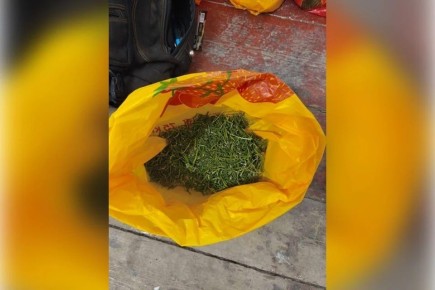 Житель Запорожской области хранил дома два пакета с коноплей