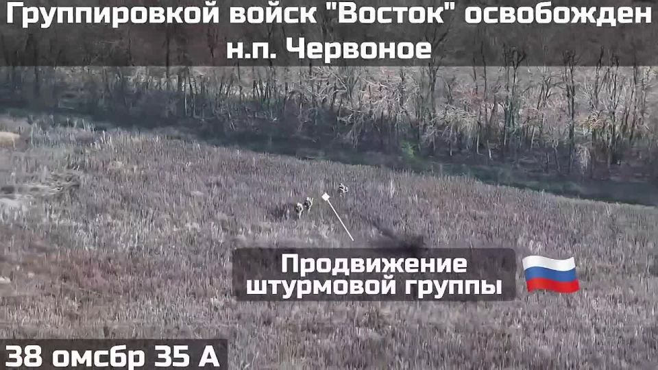 Подразделениями группировки войск «Восток» освобожден населенный пункт Червоное в Запорожской области