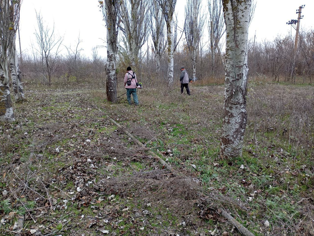 В Кирилловском сельском поселении продолжаются сезонные работы В Кирилловском сельском поселении продолжаются сезонные работы