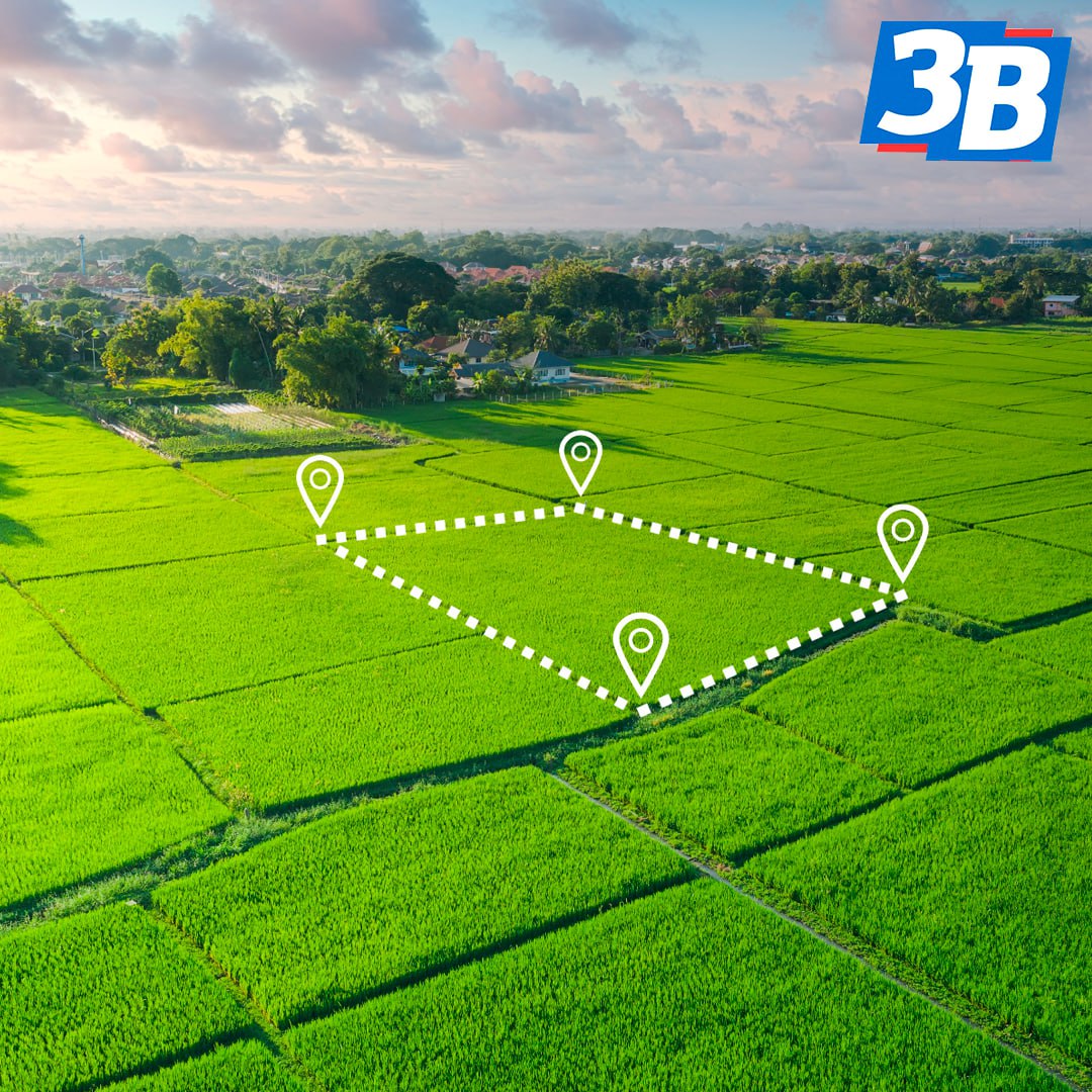 Фонд земельных участков новых регионов составил 703 земельных участка