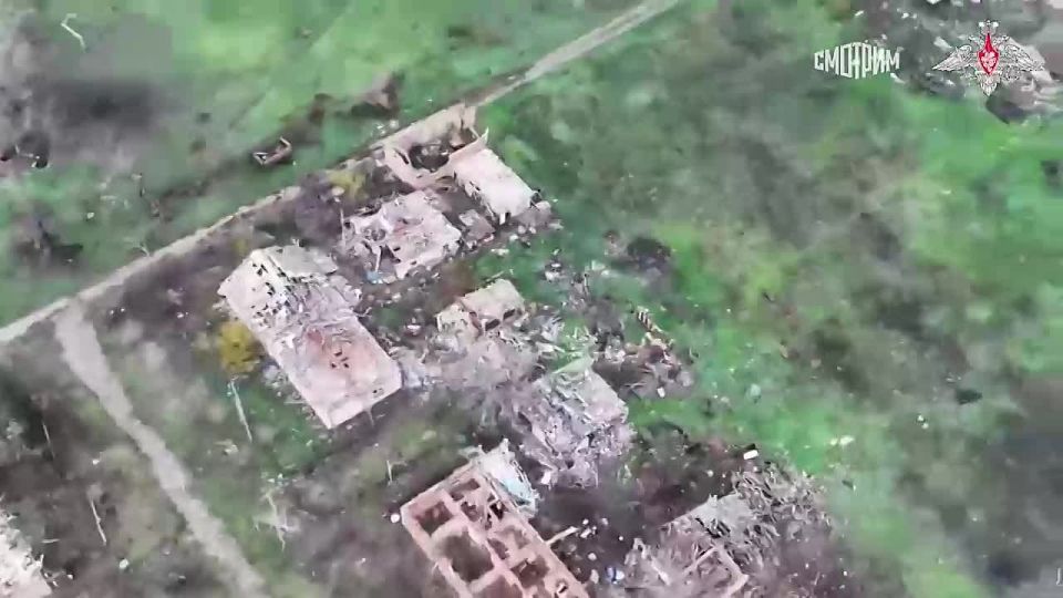 Кадры освобождения Червоного в Запорожской области показали в Минобороны РФ