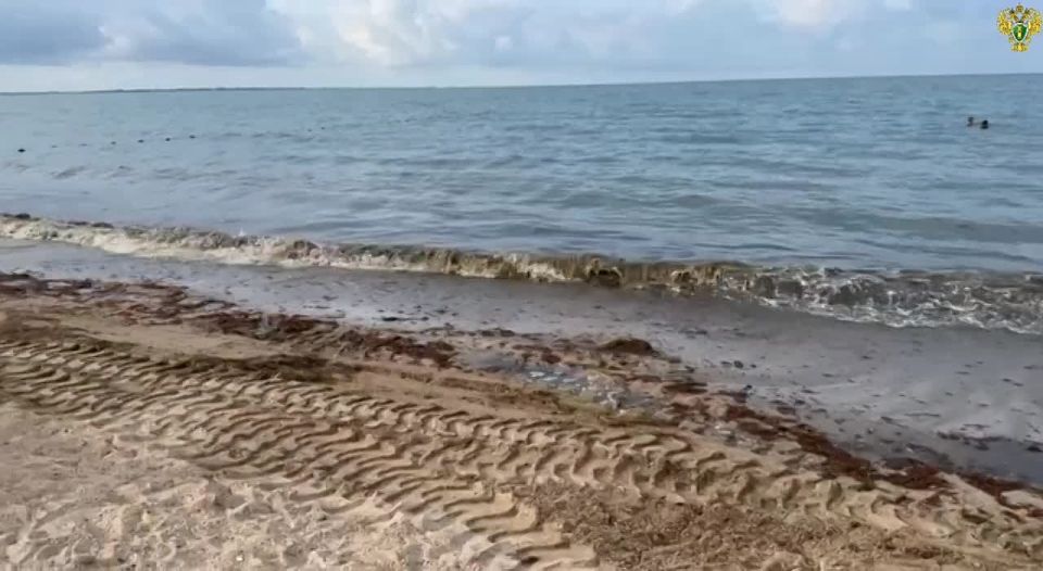 Поездка по пляжу стоила владельцу экскаватора 8 000 рублей