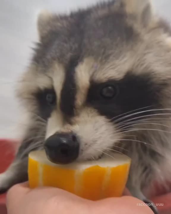 ������ ����, ������! �������� ��� ��� � ��������� ����������!