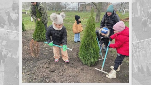 Дагестанские туи высадили в Любимовке