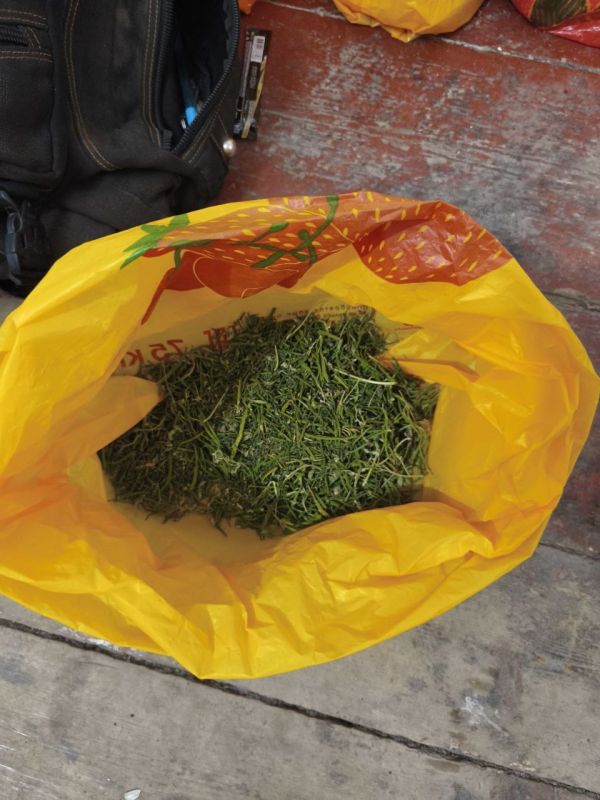 Мелитопольские полицейские в Акимовском районе задержали подозреваемого в незаконном выращивании конопли