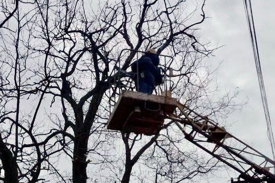 Михайловский район — расчистка воздушной линии Михайловский район — расчистка воздушной линии