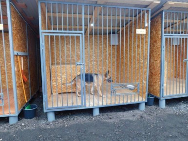 Повышение для самых преданных кадров