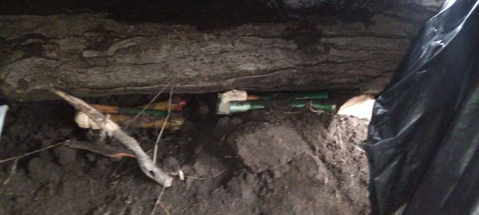 ������������ ������� ����������� ������� ��� ������� ������� ����� � ������������