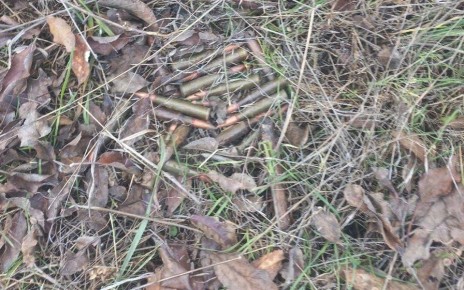 У запорожского села обнаружили патроны