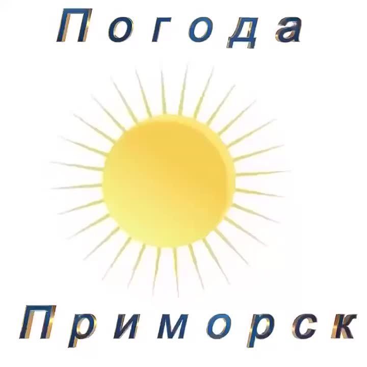 Погода Приморск (Приморский район), 04.12.2025
