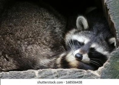 Доброй ночи, дорогие подписчики! Доброй ночи, Запорожье!